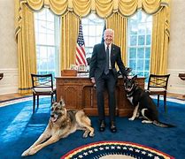 Image result for Biden and Walter