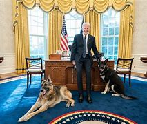 Image result for Joe Biden White House Pictures