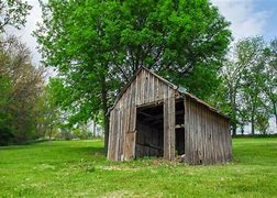 Image result for Shed Playhouse