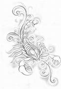 Image result for Scorpion Drawings That Are Detailed