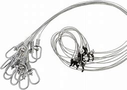 Image result for wire rabbits snare
