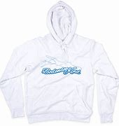 Image result for Rain World Hoodie