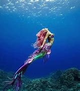 Image result for All About Mermaids