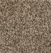 Image result for Home Depot Carpet Sale