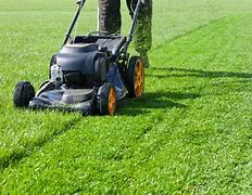 Image result for Lawn Mower and Grass
