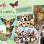 Image result for Leanin' Tree Birthday Cards