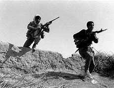 Image result for Iran Iraq War