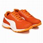 Image result for Universal Tread Men Orange Shoes