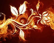Image result for Cool Fire Flower Patterns