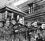 Image result for Gestapo Methods