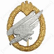 Image result for Fallschirmjager Division Badge