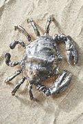 Image result for Heim Crab
