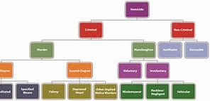 Image result for Classification of Murder