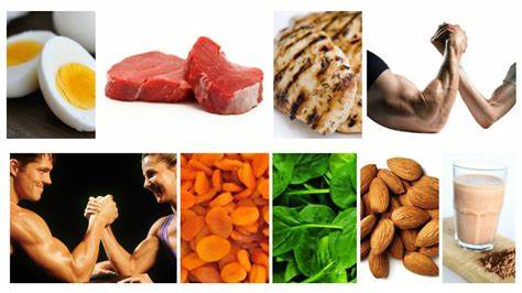 High protein foods for building muscle
