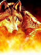 Image result for Amazon Wallpaper for Fire Tablet Wolves