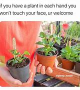 Image result for Happy Plant Meme