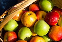 Image result for Largest Apple Ever Recorded