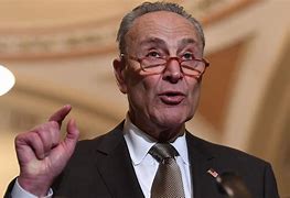 Image result for Chuck Schumer Images
