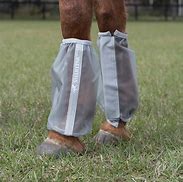 Image result for Smartpak Deluxe Fitted Fly Boots 2.0 - Clearance! - Horse - Silver W/ Lilac Trim