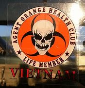 Image result for Vietnam War Peace Sign