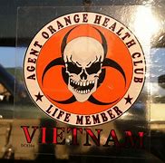 Image result for Rok Marines Vietnam War