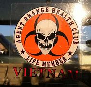Image result for Vietnam War Rangers