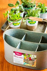 Image result for Make Your Own Indoor Planters