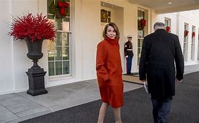 Image result for Pelosi Home with Wall