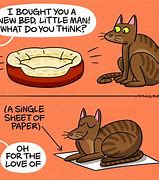Image result for Mean Cat Jokes