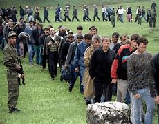Image result for Bosnian Army PFP