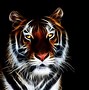Image result for Cool Tiger Designs