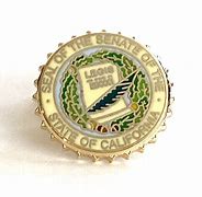 Image result for House of Representatives Lapel Pin