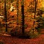 Image result for Free Autumn Desktop