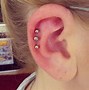 Image result for Most Popular Ear Piercings