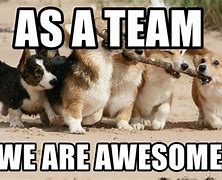 Image result for We Are the Best Team Meme