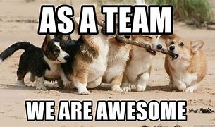 Image result for Teamwork Dog Meme