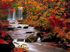Image result for Autumn Desktop Themes