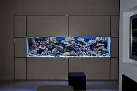 Image result for Wall Fish Tank Aquarium