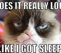 Image result for Sleep Funny