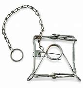 Image result for Duke Traps HD Large Cage Trap - Hunting Accessoriesories At Academy Sports