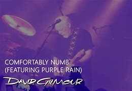 Image result for David Gilmour Amps
