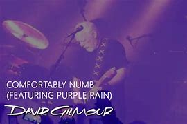Image result for David Gilmour Black Strat
