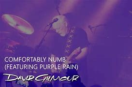 Image result for David Gilmour Acoustic Live
