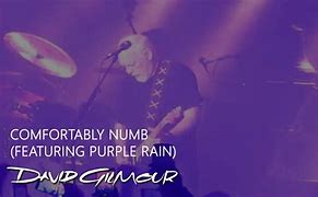 Image result for David Gilmour DVD