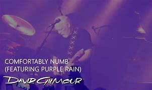 Image result for David Gilmour Marriages