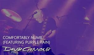Image result for David Gilmour Socialising