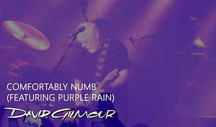 Image result for David Gilmour Disc