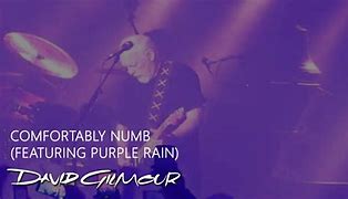 Image result for David Gilmour Cover