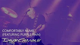 Image result for David Gilmour Live
