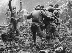 Image result for Vietnam War USA
